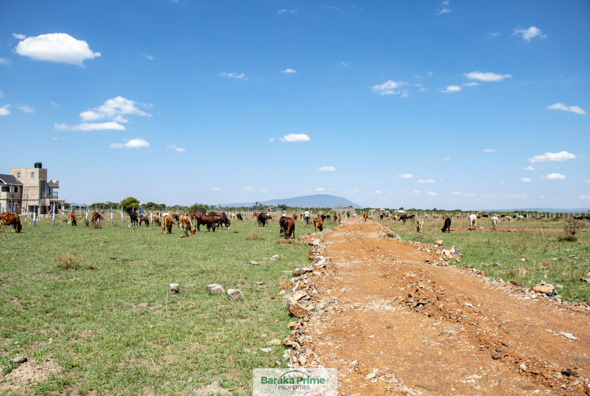 Affordable Plots in Kamakis bypass, Ruiru , Kiambu County