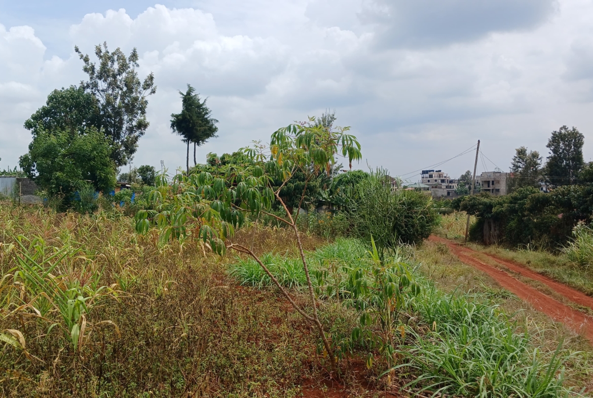 Baraka Mugutha Gardens, controlled development affordable plots in Mugutha, Ruiru