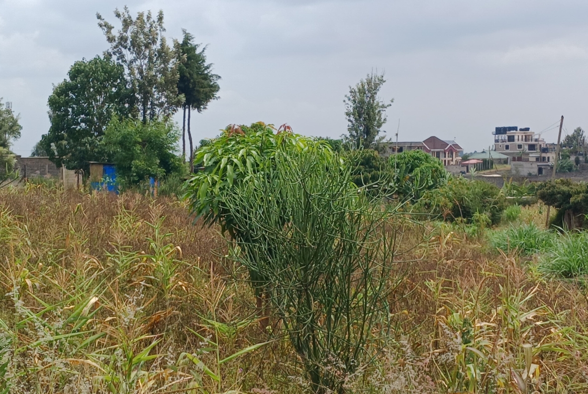 Baraka Mugutha Gardens, controlled development affordable plots in Mugutha, Ruiru