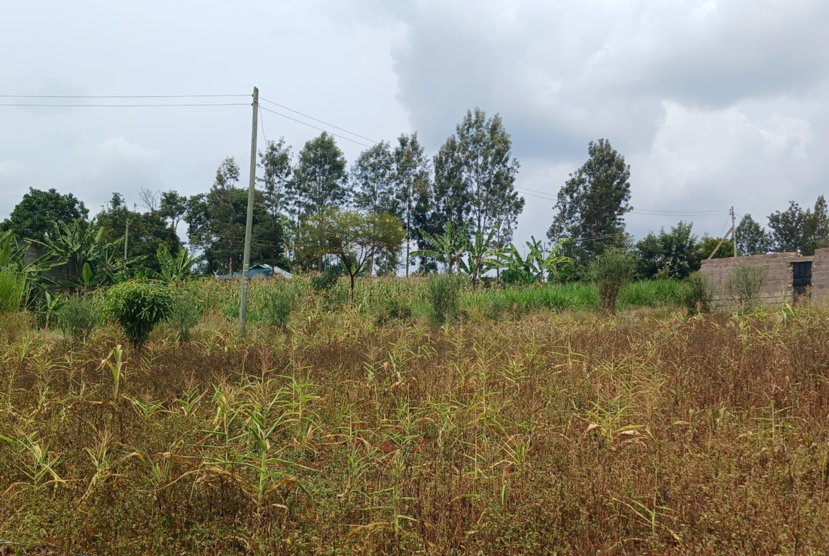 Baraka Mugutha Gardens, controlled development affordable plots in Mugutha, Ruiru
