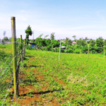 plots for sale