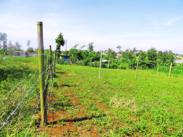plots for sale
