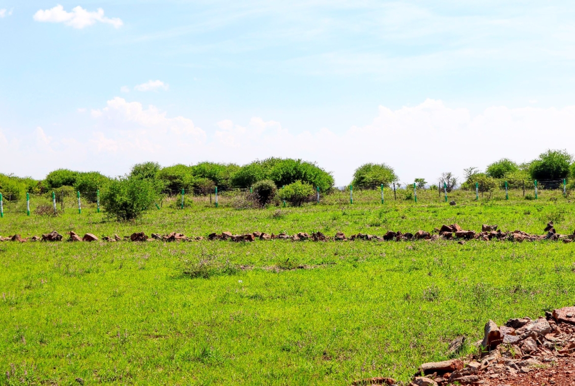 Baraka Gardens Phase 1 – Gikumari, Ruiru