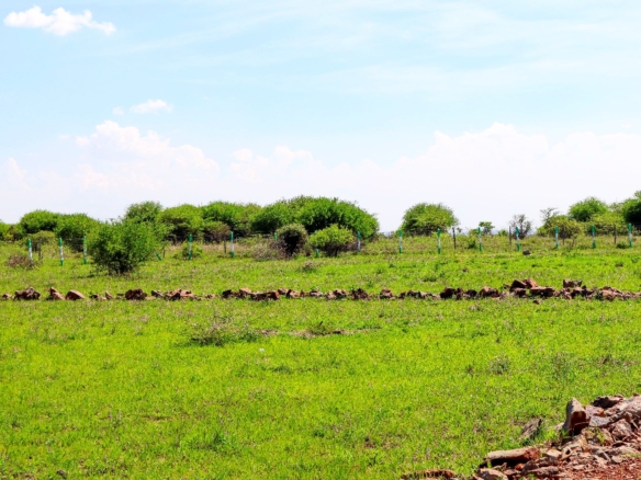 Baraka Gardens Phase 1 – Gikumari, Ruiru
