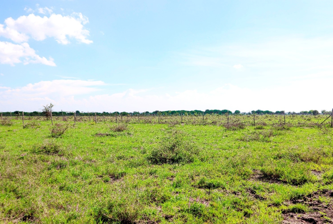 Baraka Gardens Phase 1 – Gikumari, Ruiru