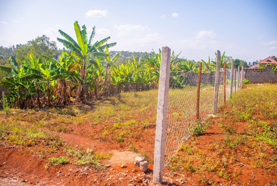 Ufanisi Court Phase III – Mugutha, Ruiru