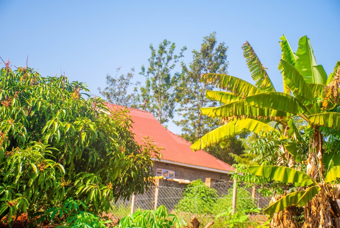 Ufanisi Court Phase III – Mugutha, Ruiru