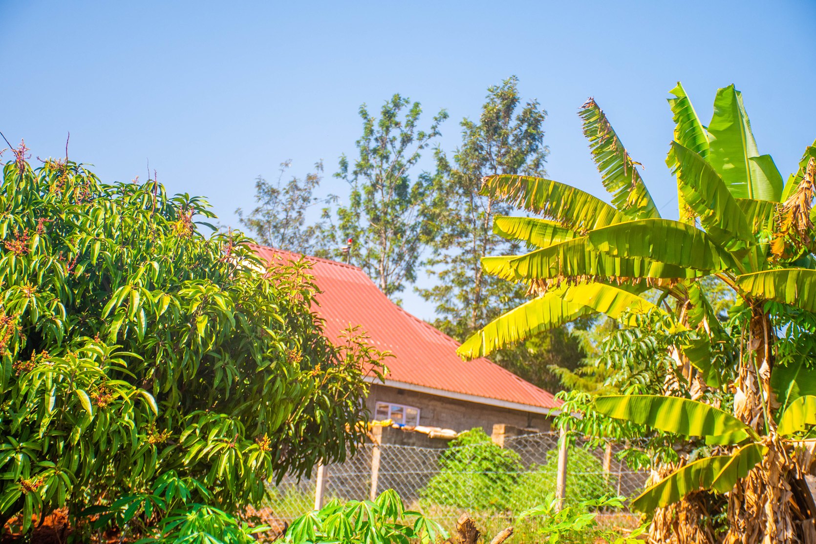 Ufanisi Court Phase III – Mugutha, Ruiru