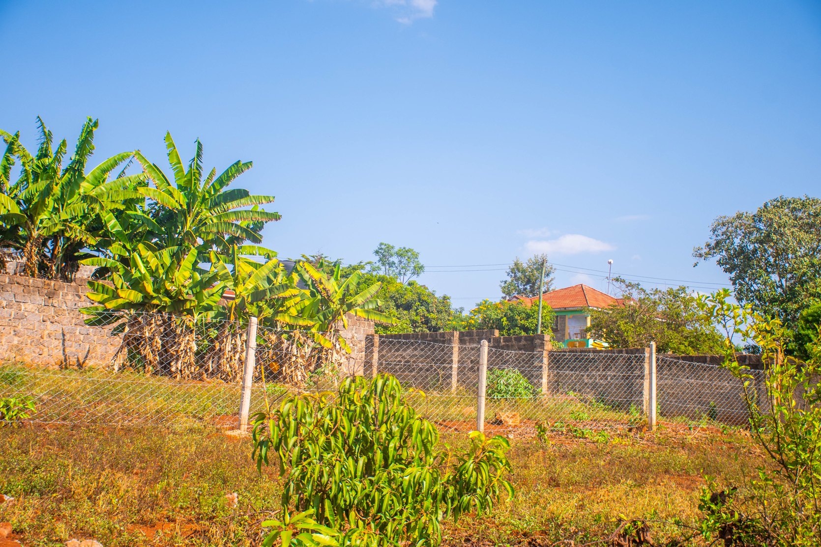 Ufanisi Court Phase III – Mugutha, Ruiru