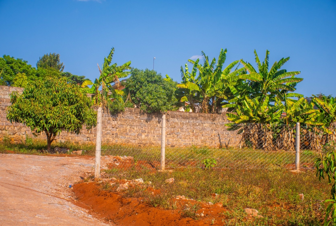 Ufanisi Court Phase III – Mugutha, Ruiru
