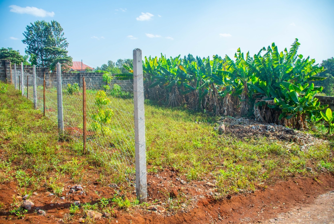 Ufanisi Court Phase III – Mugutha, Ruiru